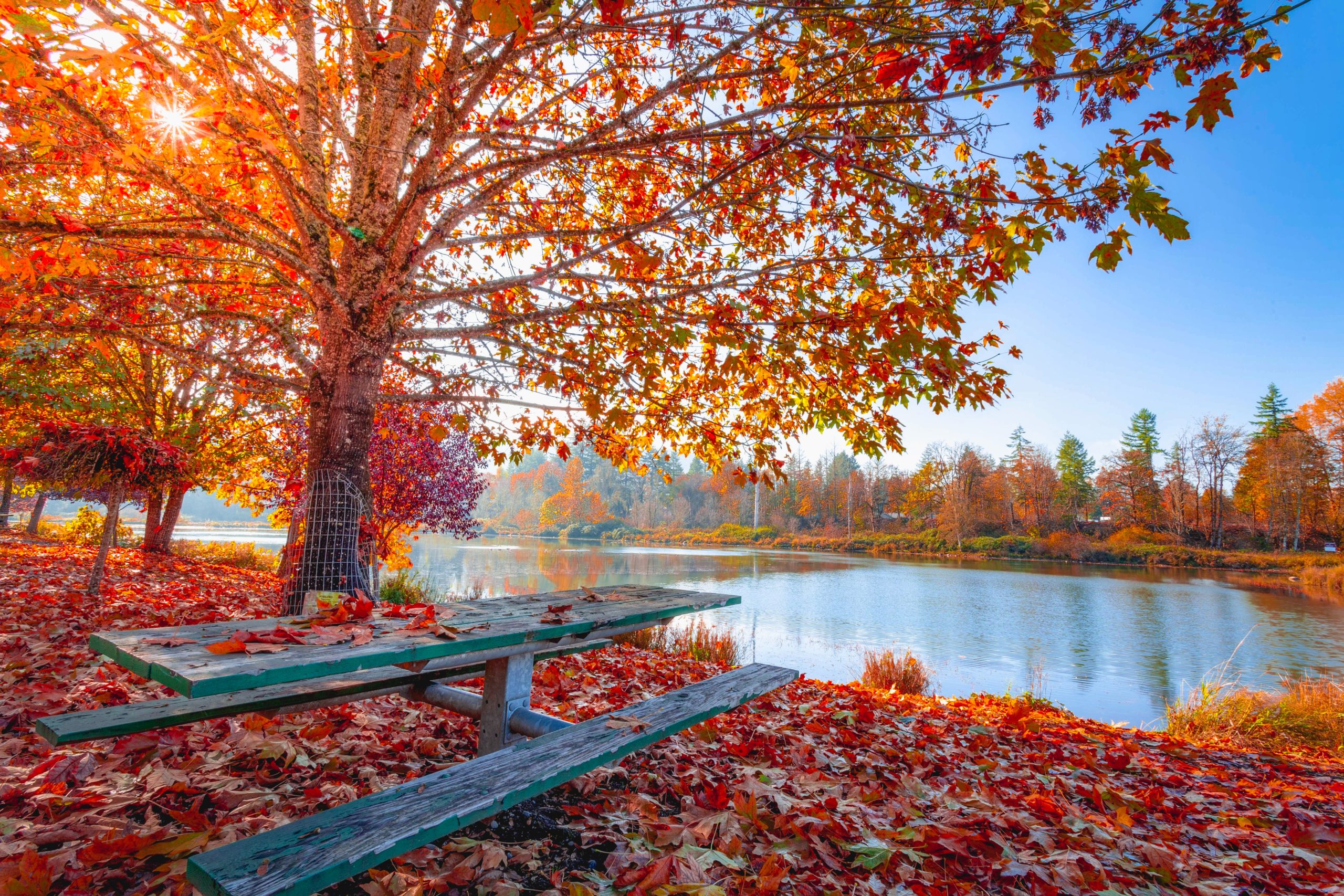5 Facts to Know if You Need to Buy a Home This Fall